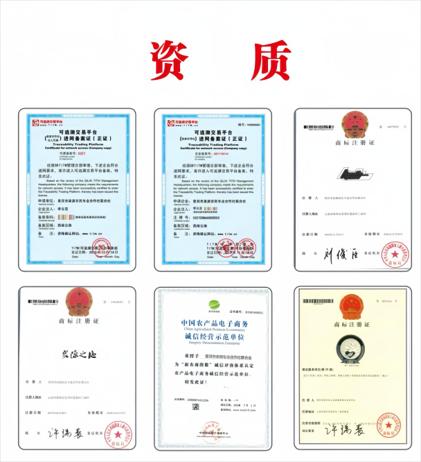 資質